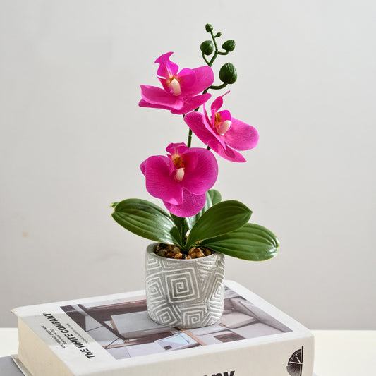 Simulated Phalaenopsis & Pot