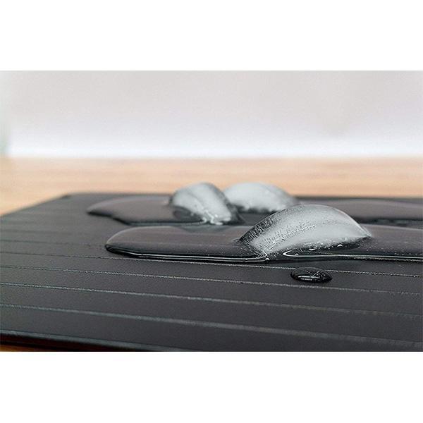 Magical Defrost Tray
