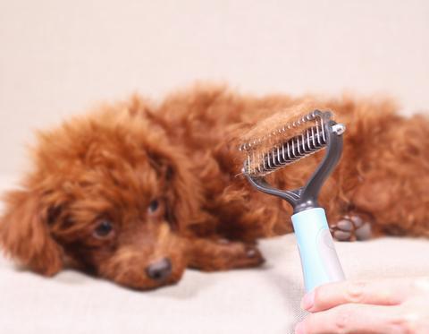 Pet Hair Brush
