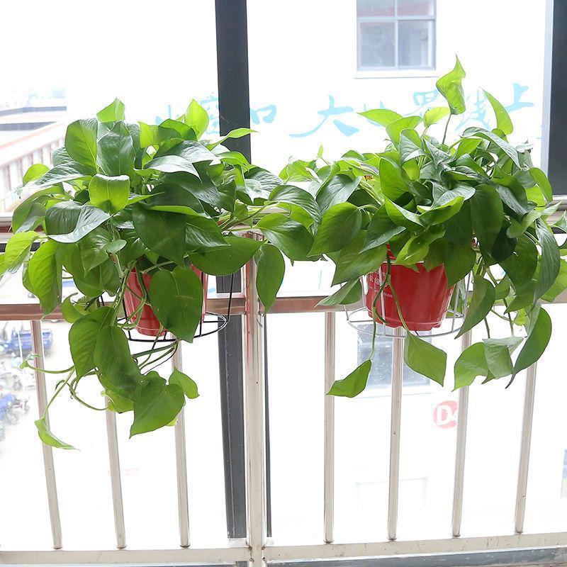 The Rail Fence Flower Planters Holder