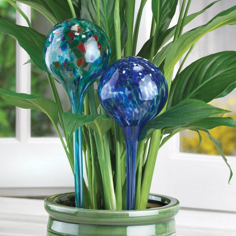 Aqua Globe