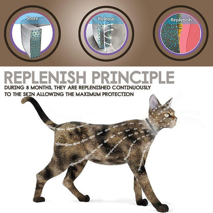 Anti Flea and Tick Collar for Dogs and Cats