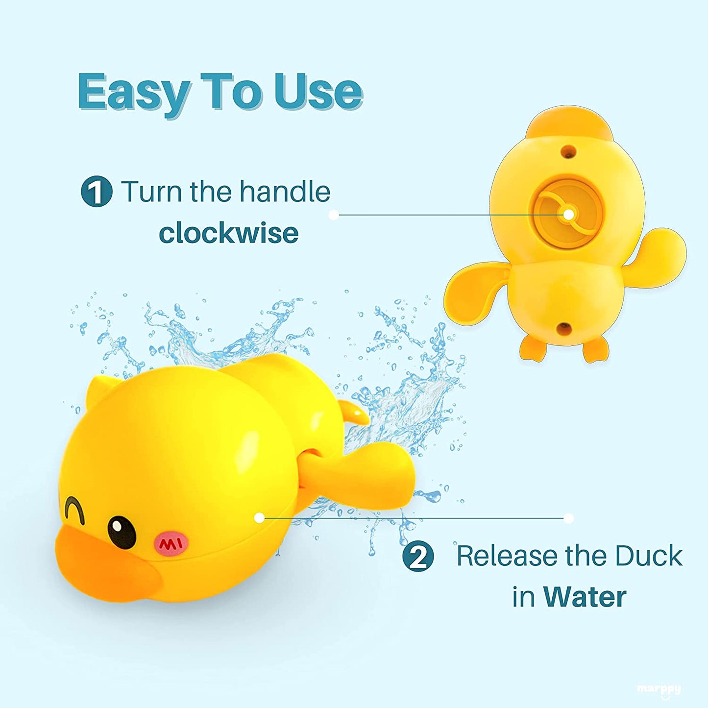 Swimming duck