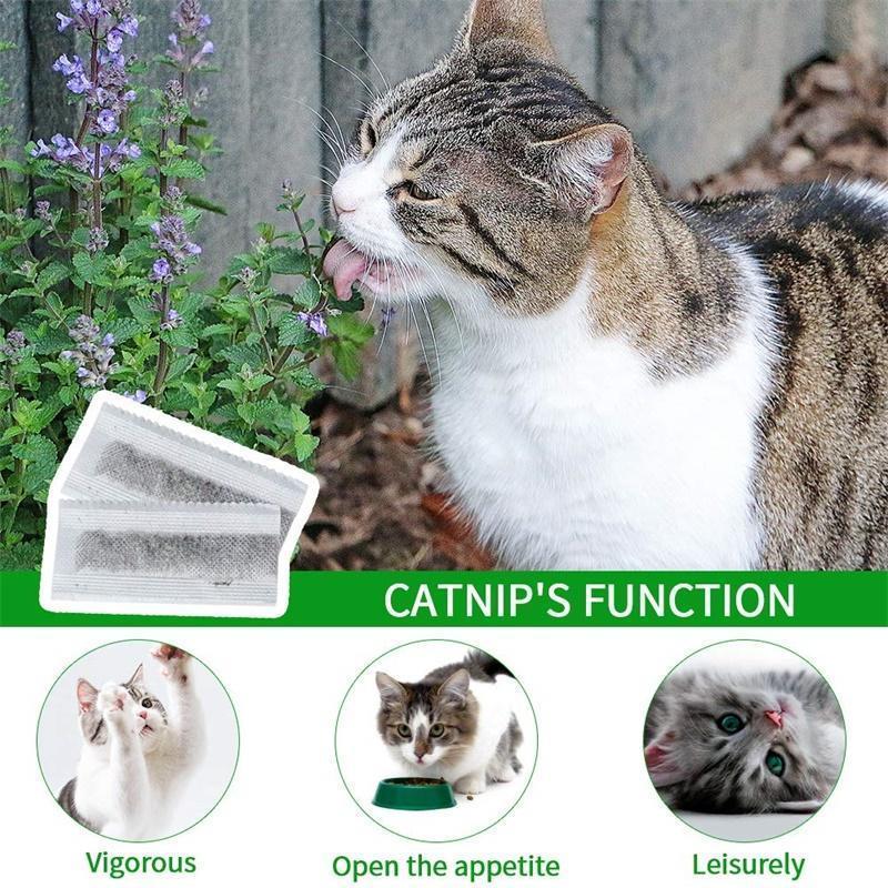 Cat Toothbrush