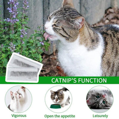 Cat Toothbrush