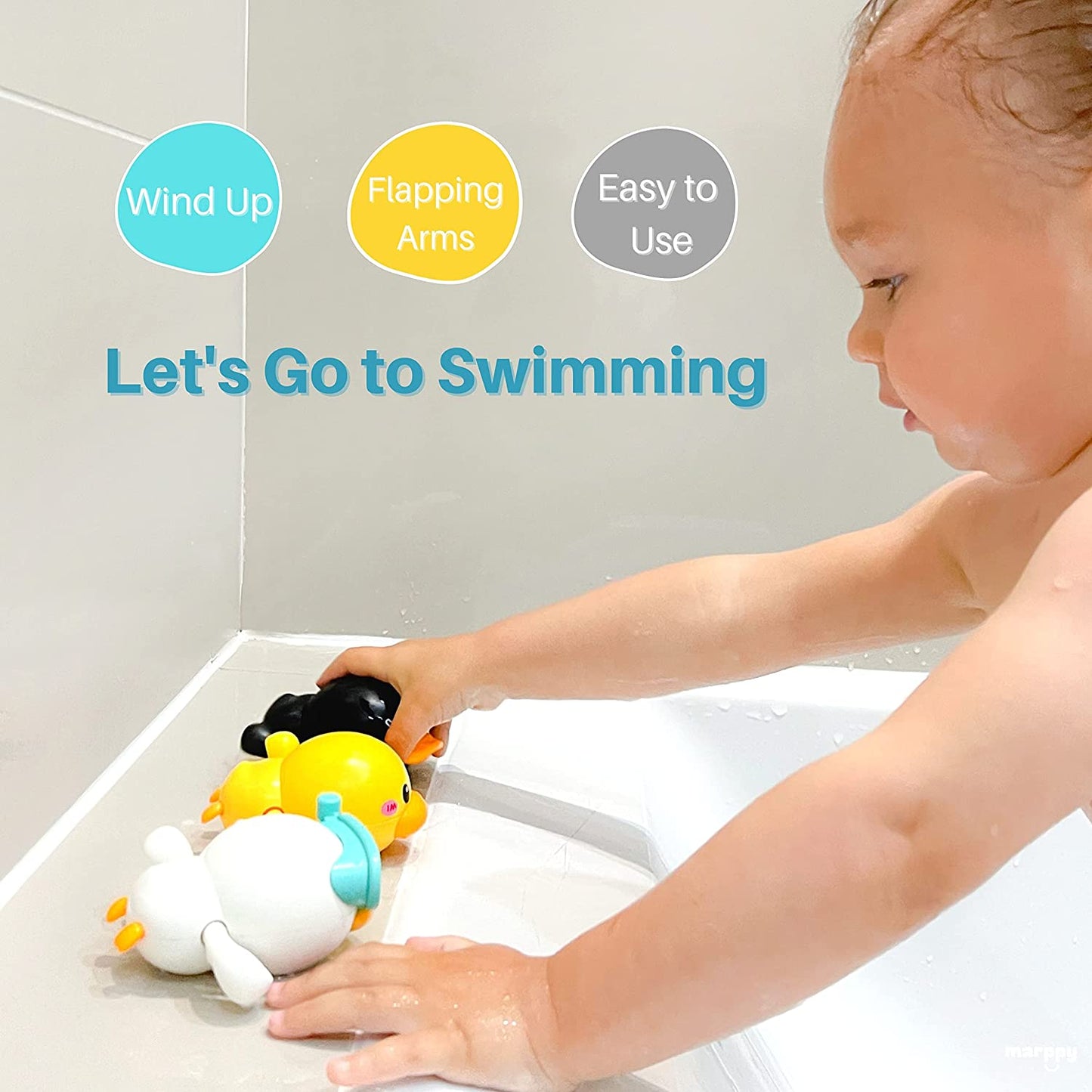 Swimming duck
