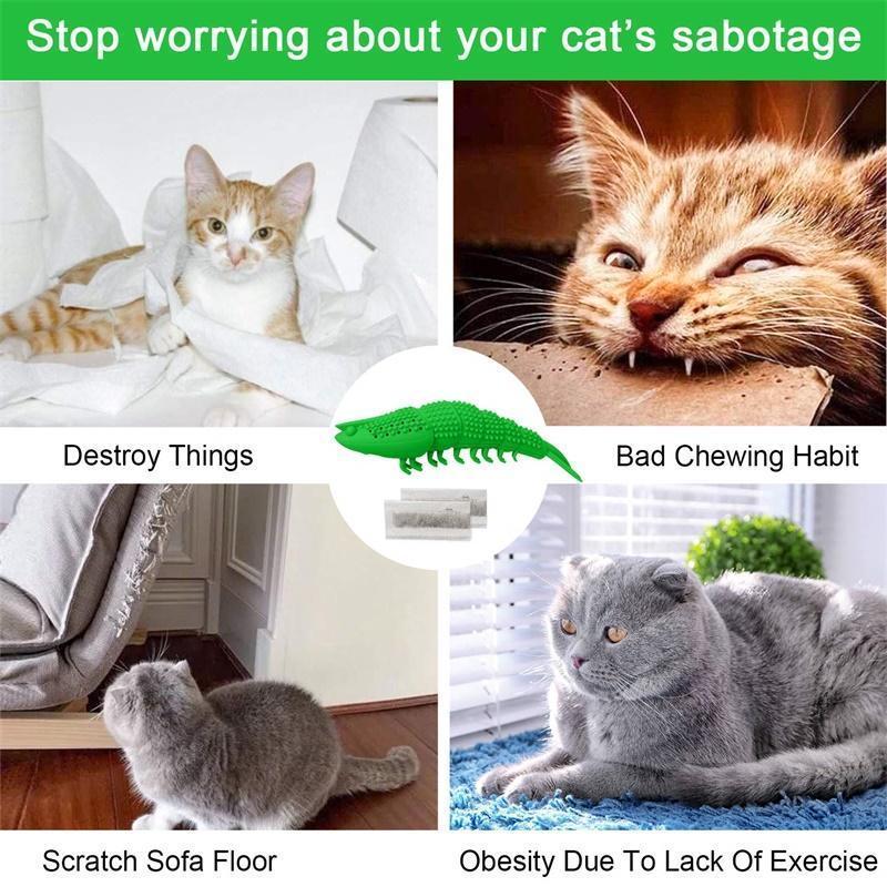 Cat Toothbrush