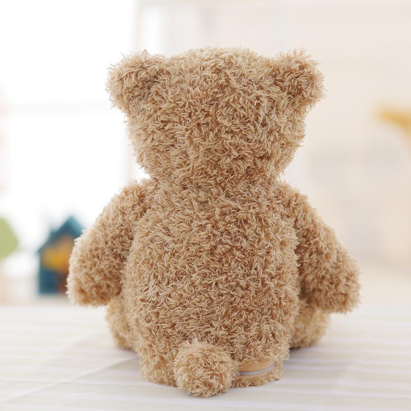 Teddy bear electric toy