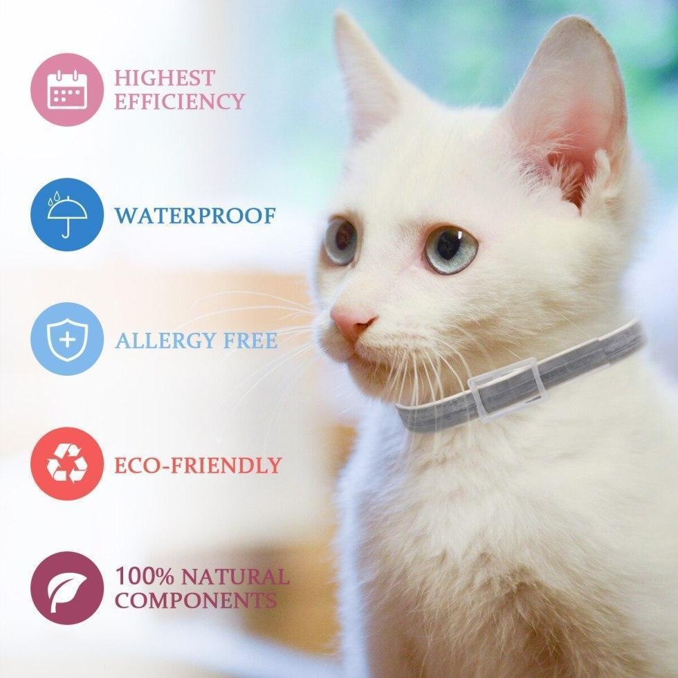 Anti Flea and Tick Collar for Dogs and Cats