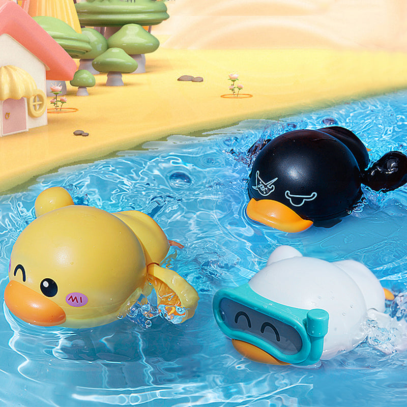 Swimming duck