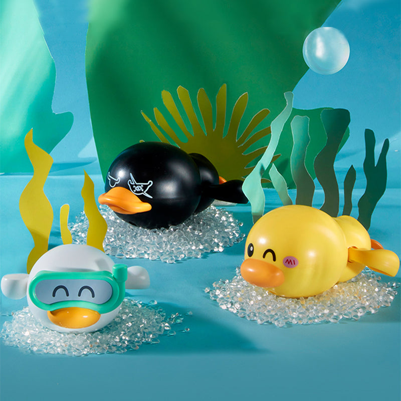 Swimming duck