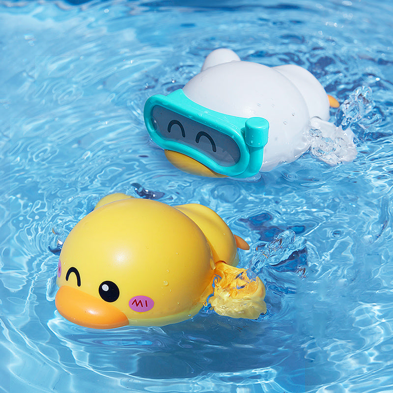 Swimming duck