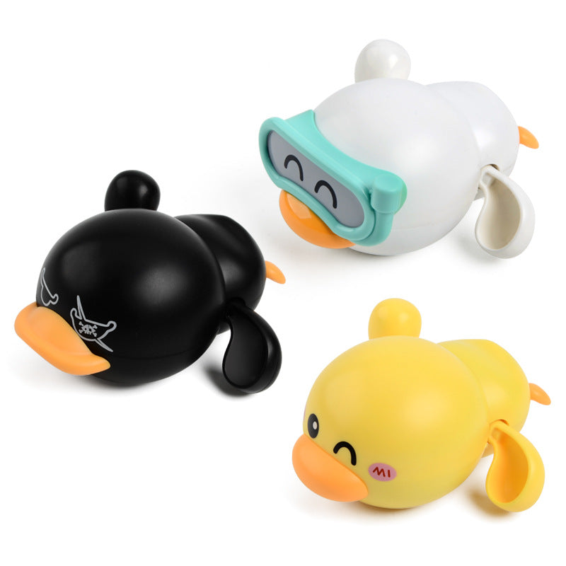 Swimming duck