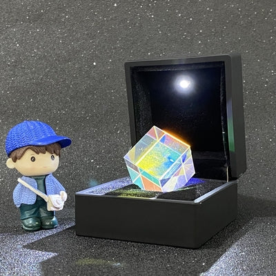 Sun Catcher