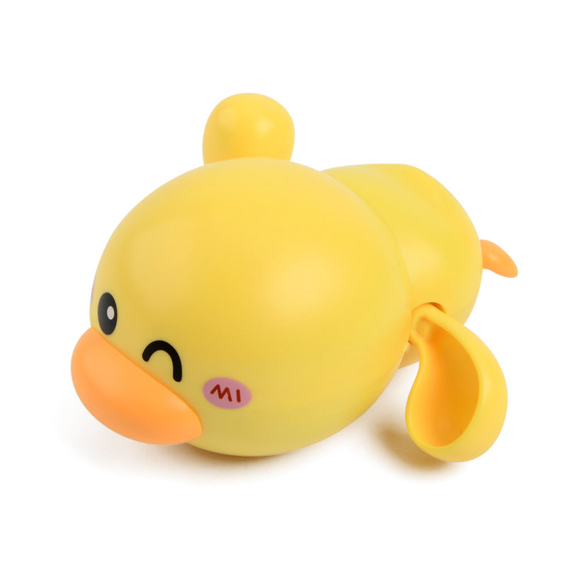 Swimming duck