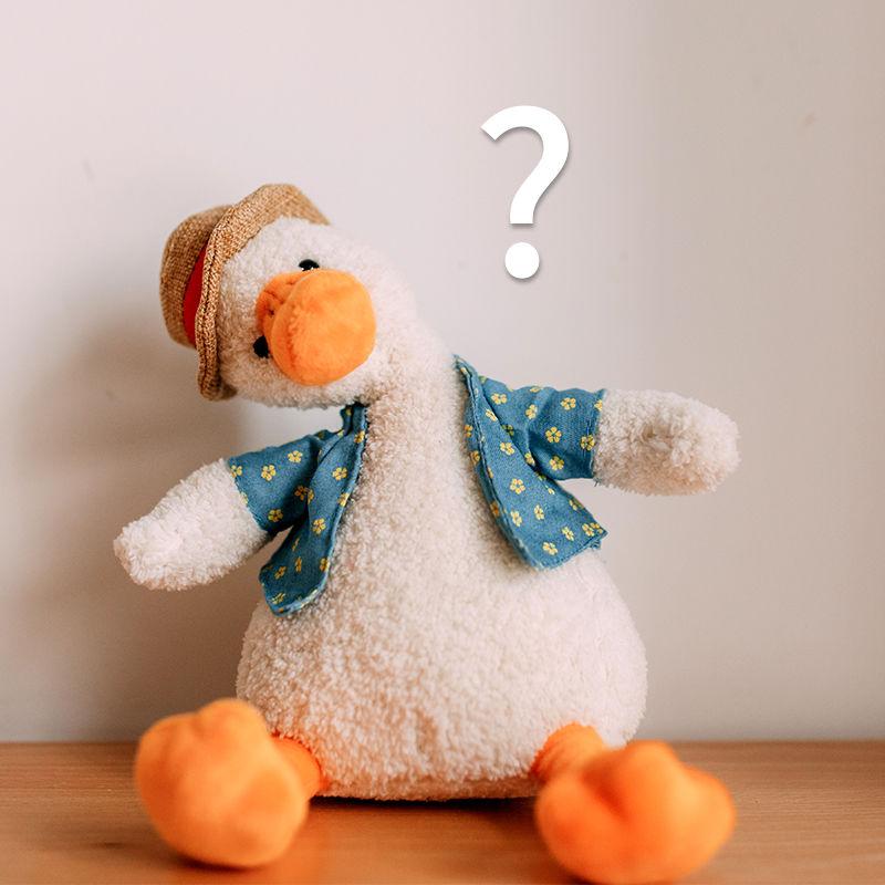 Talking Repeat Duck Electric Plush Toy