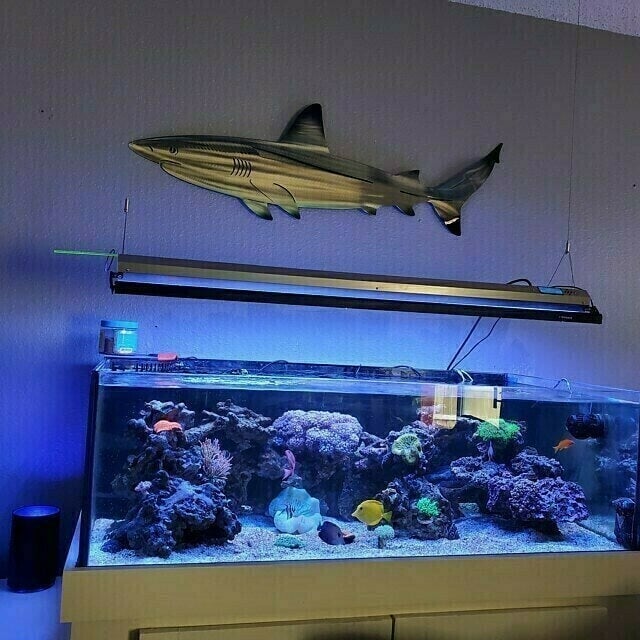 Last Day 49% OFF - 🦈 Metal Shark Art Wall Decor