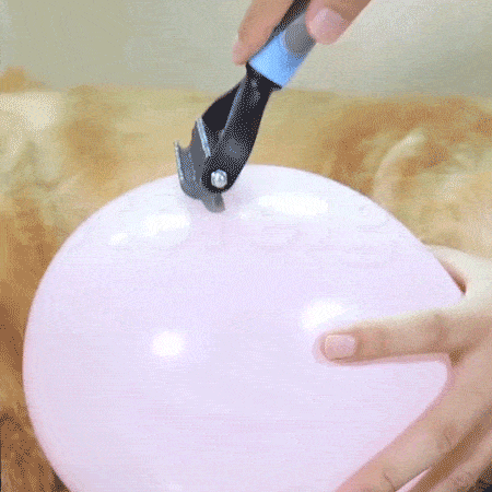 Pet Hair Brush